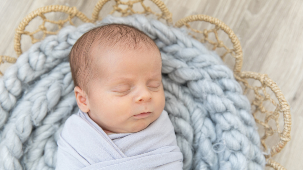 Larchmont, NY newborn and sibling photography session